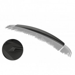 Añadido aleron Peugeot 407...