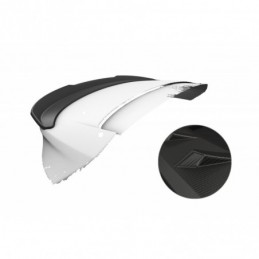 Añadido aleron Ford Focus...