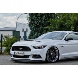 Labio inferior Ford Mustang...