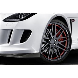 Aletas Jaguar F-Type Stenos