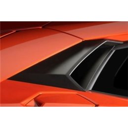Carcasa panel Lamborghini Aventador S3 Carbon Fiber Rear Airbox