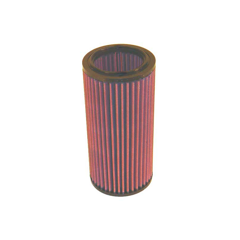 Filtro De Sutitucion K&n Peugeot 205