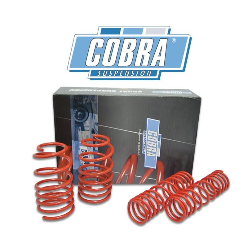 Juego De Muelles Cobra Skoda Fabia I - 6y 5-puertas 1.4-tdi+1.9-sdi 1999-2007 30mm rebaje delantero-30mm rebaje trasero