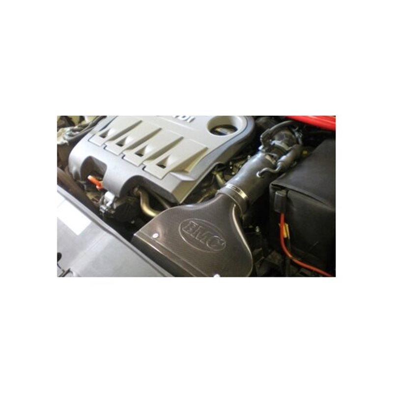 Filtro De Sustitución Bmc Volkswagen Golf Vi / Cabrio Vi / Golf Plus (a6,5k)