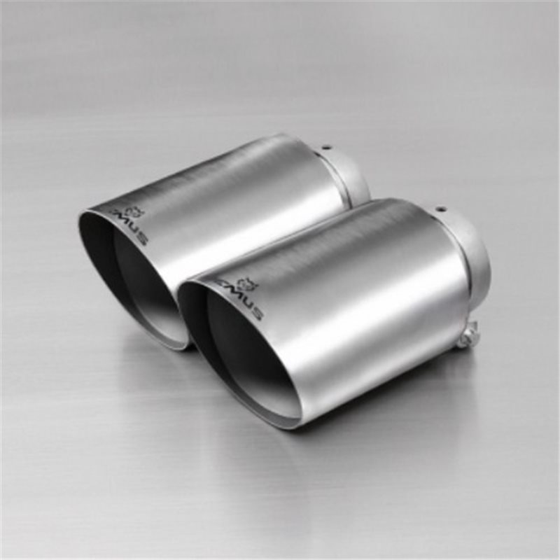 Set Terminales Remus 0026 80s Ford Focus Iii St, Type Dyb