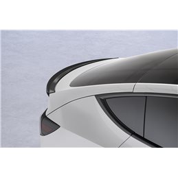 Aleron Tesla Model Y todos 2020-