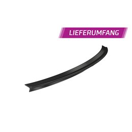 Aleron Tesla Model Y todos 2020-