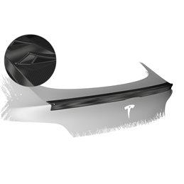 Aleron Tesla Model Y todos 2020-