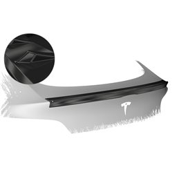 Aleron Tesla Model Y todos 2020-