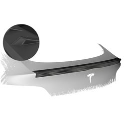 Aleron Tesla Model Y todos 2020-