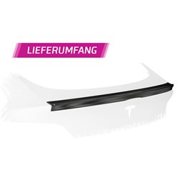 Aleron Tesla Model Y todos 2020-