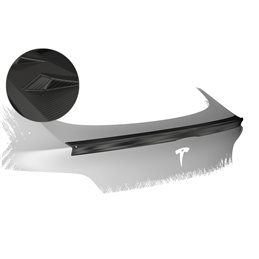 Aleron Tesla Model Y todos 2020-