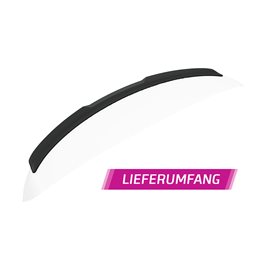 Aleron Renault Zoe todos 12/2012-