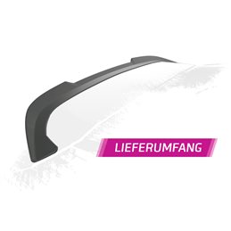 Aleron Toyota Corolla (E210) Touring Sports (todos) 2019-