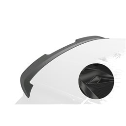 Aleron Cupra Born todos 09/2021-