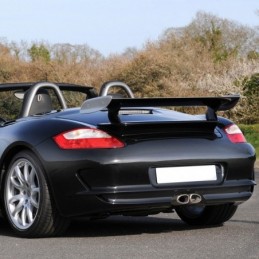 Aleron Look GT3 Porsche...