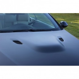 Entrada de aire Tipo M3...