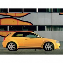 Juego de faldones laterales...