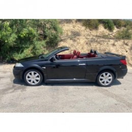 Juego de faldones laterales...