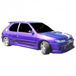 Juego de faldones laterales...