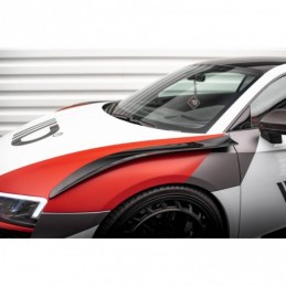 Aletas laterales delanteras...