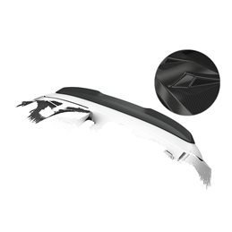 Añadido Aleron Dacia Spring Electric todos 2020- plastico abs