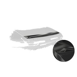 Añadido Aleron Mercedes-benz Amg Gt (190) Coupe 03/201712/2021 plastico abs