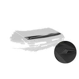 Añadido Aleron Mercedes-benz Amg Gt (190) Coupe 03/201712/2021 plastico abs