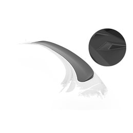 Añadido Aleron Mini R58 todos 2011-2015 plastico abs