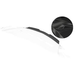 Añadido Aleron Opel Gt (roadster) Sportback (5-türer) 2007-2009 plastico abs