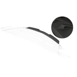 Añadido Aleron Opel Gt (roadster) Sportback (5-türer) 2007-2009 plastico abs