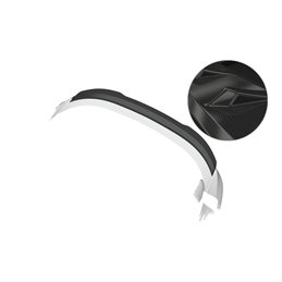 Añadido Aleron Vw Id.5 todos 2021- plastico abs