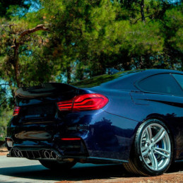 Alerón trasero Oneway para...