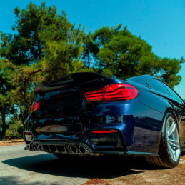 Difusor trasero Oneway BMW...