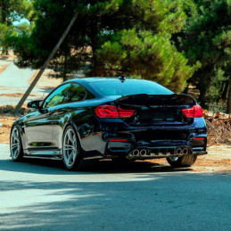 Difusor trasero Oneway para...