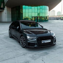 Labio delantero Oneway Audi...