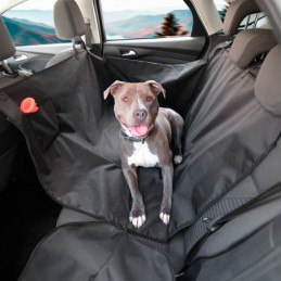 Protector de Asiento...