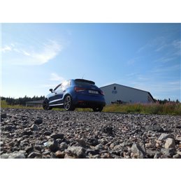 Escape deportivo Fox Audi A1/S1 S1 Todos