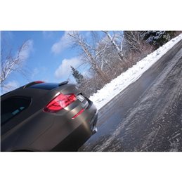 Escape deportivo Fox BMW 5er F10/ F11 535d Todos