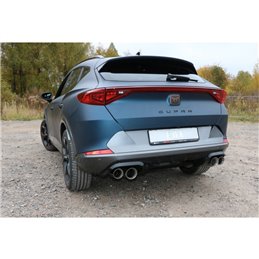 Escape deportivo Fox Cupra Formentor Todos