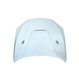 Capó De Fibra BMW X5 F15 F85/X5M Hood BMW F16 X6 F86