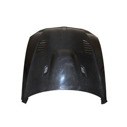 Capó Carbono BMW E92 / E93 Look M3 GTR