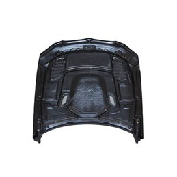 Capó Carbono BMW E92 / E93 Look M3 GTR