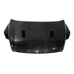 Capó Carbono Ford Focus 2008-2011 RS C/T