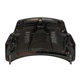 Capó Carbono Ford Focus 2008-2011 RS C/T