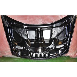 Capó Carbono Honda Civic '06 Typer Mugen