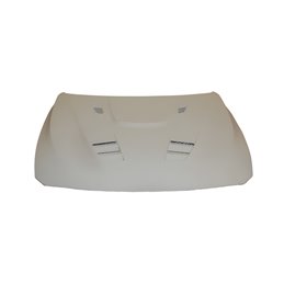 Capó Fibra BMW F30 / F31 / F32 / F33 / F36 Con Toma Look M3