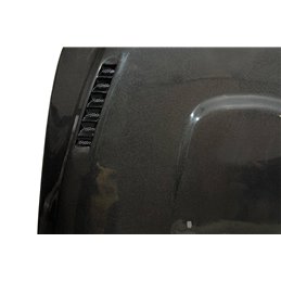 Capó Carbono BMW E60 / E61 C/T Look M5