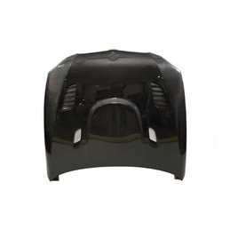 Capó Carbono BMW E92 / E93 2006-2009 Look M3 GTR