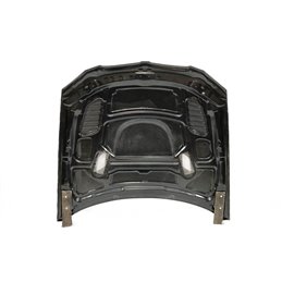 Capó Carbono BMW E92 / E93 2006-2009 Look M3 GTR